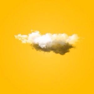 Meet your Posher, Lilly